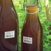 sirop de mélisse
