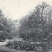 carte postale (11)