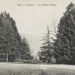 carte postale (12)