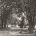 carte postale (14)