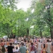 fête de l'arbre - 2015