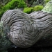 macro