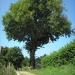 07) Orme du Guidou