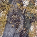 09) Orme du Guidou