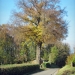 15) Orme du Guidou