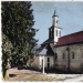 carte postale 03) Thuya de Peillonnex