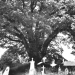 26) ancienne photographie