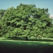 Charme étalé du parc La Grange