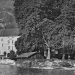 Marronniers de l'abbaye de Talloires