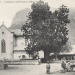 Tilleul d'Alex