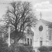 Tilleul de Rumilly