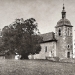 Tilleul de Saint-Martin-Bellevue