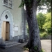 Tilleul de St-Germain, Talloires