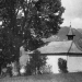 Tilleul de la ville du Nant