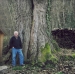 Châtaignier des Servoz, Lugrin