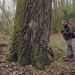 Peupliers grisard du bois de Vernaz, Gaillard
