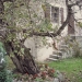Mûrier - Monnetier-Mornex