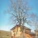 Orme de Plaines Joux, Onnion