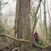 Peuplier noir du bois de Vernaz, Gaillard