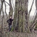 Peuplier noir du bois de Vernaz, Gaillard