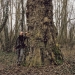Peuplier noir du bois de Vernaz, Gaillard