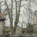 Platane de Crévy, Veigy