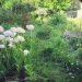 printemps tardif